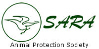 Protectora de Animales SARA Lanzarote